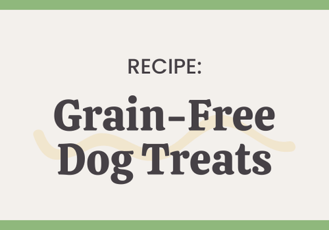 Grain-Free Dog Treat Recipe - The Honey Jar