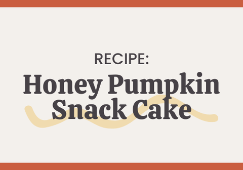 Honey Pumpkin Snack Cake Recipe - The Honey Jar