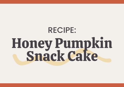 Honey Pumpkin Snack Cake Recipe