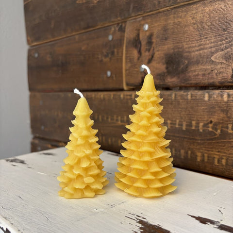 100% Beeswax Candle - Evergreen Set