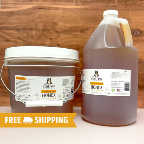 Clover Honey - Raw and Unfiltered Bulk - 1 gallon (12lbs)