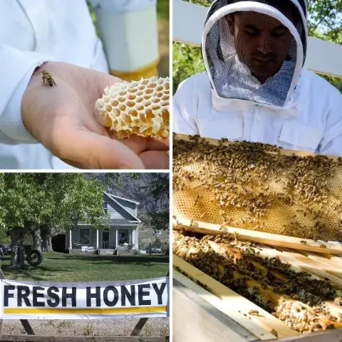 Collage of beekeeping activities including honeycomb, person in beekeeper suit, beehive, and fresh honey sign.