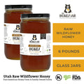 6 pounds of raw unfiltered wildflower honey in glass jars. 