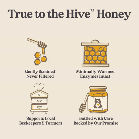 LIMITED RUN Alfalfa Blossom Honey - Raw and Unfiltered - 12 oz