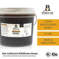 California Wildflower Honey - Raw and Unfiltered Bulk - 1 gallon (12lbs) - The Honey Jar - 
