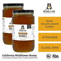 California Wildflower Honey - Raw and Unfiltered Bulk - 1 Quart (3lbs) - The Honey Jar - 