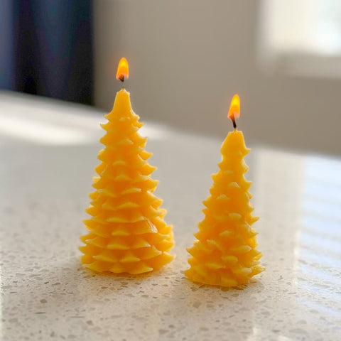 100% Beeswax Candle - Evergreen Set
