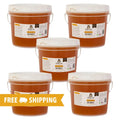 Clover Honey - Raw and Unfiltered Bulk - 5 gallon (60lbs) - The Honey Jar - 