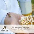 California Wildflower Honey - Raw and Unfiltered Bulk - 1 Quart (3lbs) - The Honey Jar - 