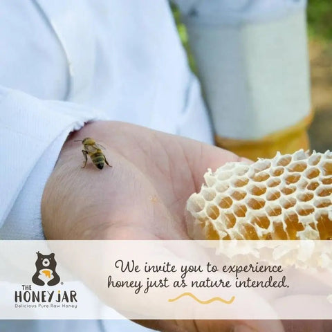 California Wildflower Honey - Raw and Unfiltered Bulk - 1 Quart (3lbs) - The Honey Jar - 