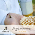 Clover Honey - Raw and Unfiltered Bulk - 1 gallon (12lbs) - The Honey Jar - 